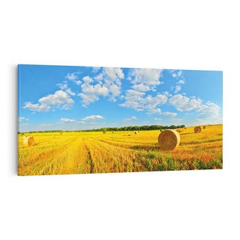 Obraz na płótnie 120x60 - Urok rolnictwa: Trawa w pełnym rozkwicie - rolnictwo, trawa