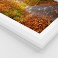 Plakat w ramie 30x40 - Kolorowe drzewa na ścieżce jesieni - las, jesień - rama biała
