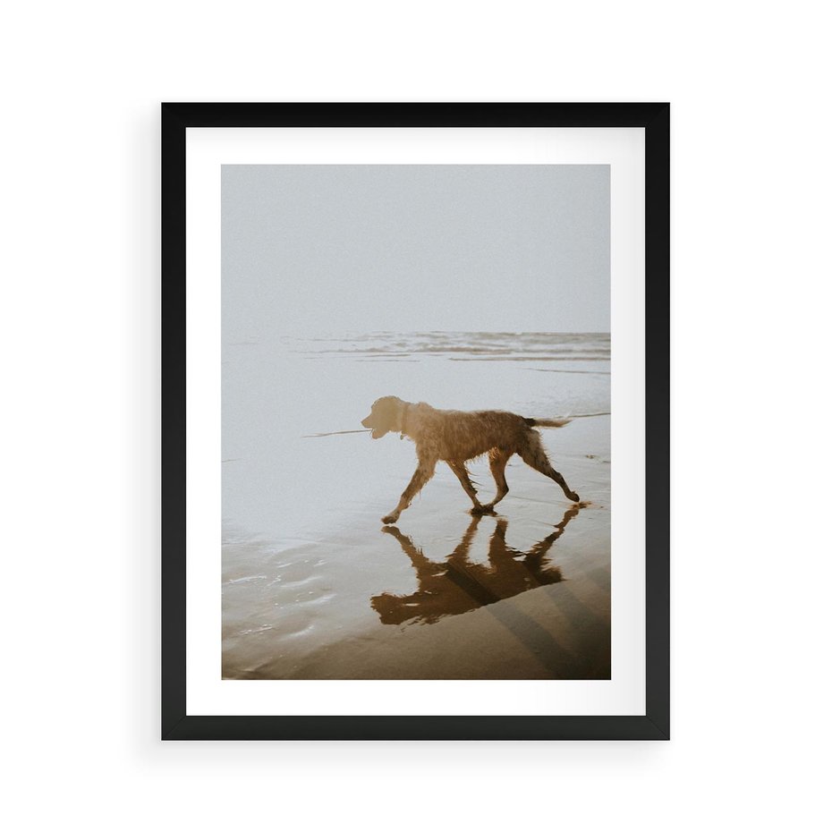 Plakat w ramie 40x50 - Przyjaciel na Plaży - pies, na plaży - rama czarna
