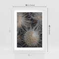Plakat w ramie 30x40 - Ulotna Piękność Natury - makro, dmuchawce - rama biała