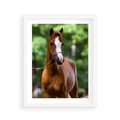 Plakat w ramie 40x50 - Portret Szlachetnego Konia - koń, portret - rama biała