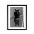 Plakat w ramie 30x40 - Kocie Oczy - kot, czarno białe zdjęcie - rama czarna
