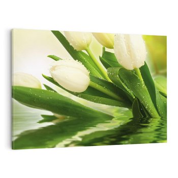 Obraz na płótnie 70x50 - Białe Piękno - białe, tulipany