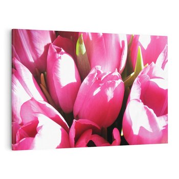 Obraz na płótnie 100x70 - Tulipany w pejzażu - tulipany, kwiaty