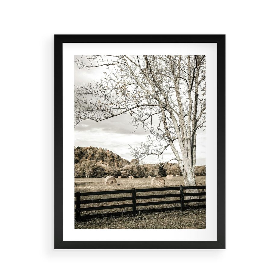 Plakat w ramie 40x50 - Drzewa i Snopki Siana - farma, drzewa - rama czarna