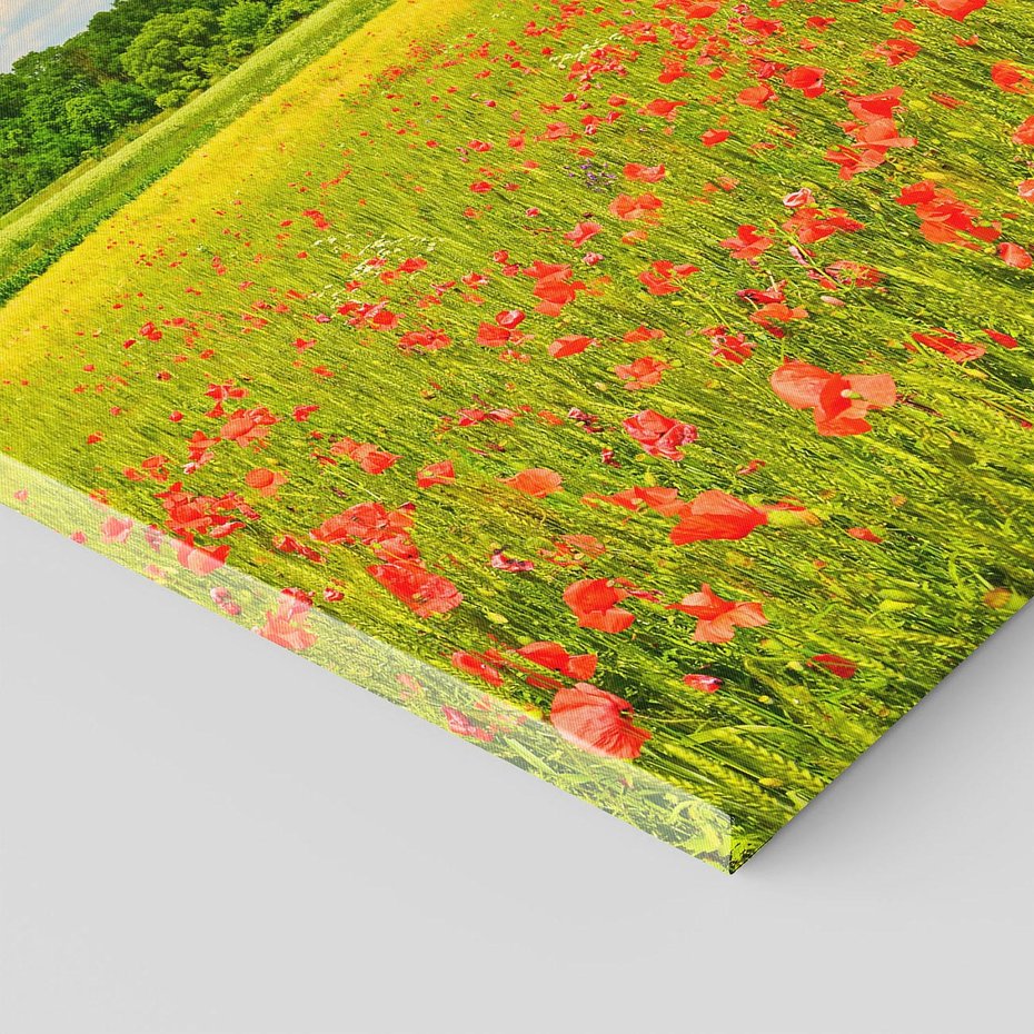 Obraz na płótnie 80x120 - Malownicze maki na łące - maki, łąka