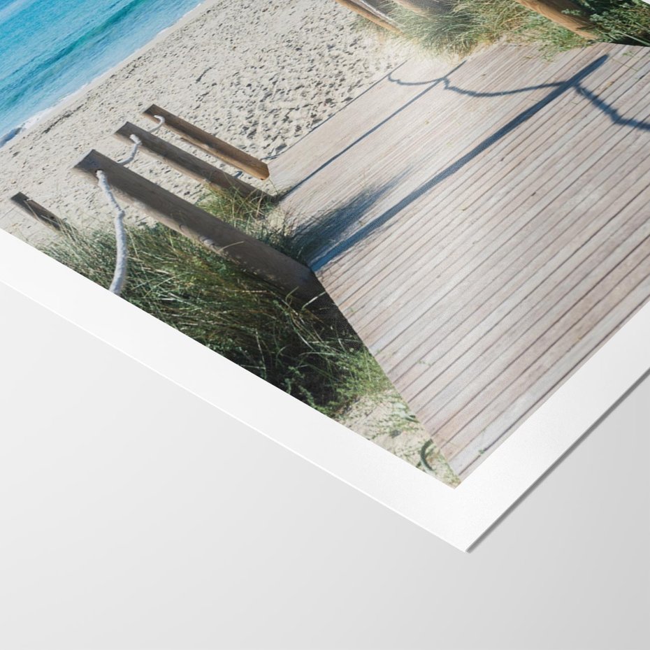 Plakat bez ramy 40x50 - Żywa Natura - plaża, morze