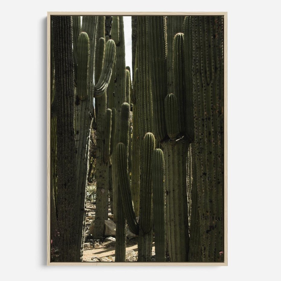 Obraz w ramie 70x100 - Wyjątkowy Klimat Boho - kaktusy, pustynia - rama drewno