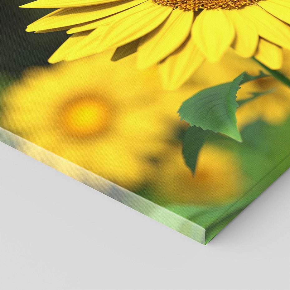 Obraz na płótnie 120x60 - Kwiatowa łąka - kwiaty, łąka