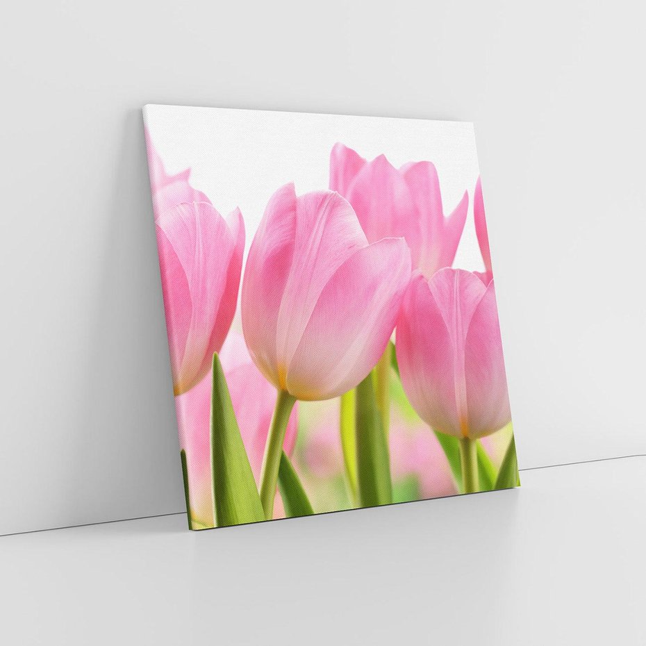 Obraz na płótnie 60x60 - Kwiaty w pełnym rozkwicie - kwiat, Kwiaty