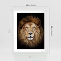 Plakat w ramie 40x50 - Król zwierząt w majestatycznym stylu - lew, król - rama biała