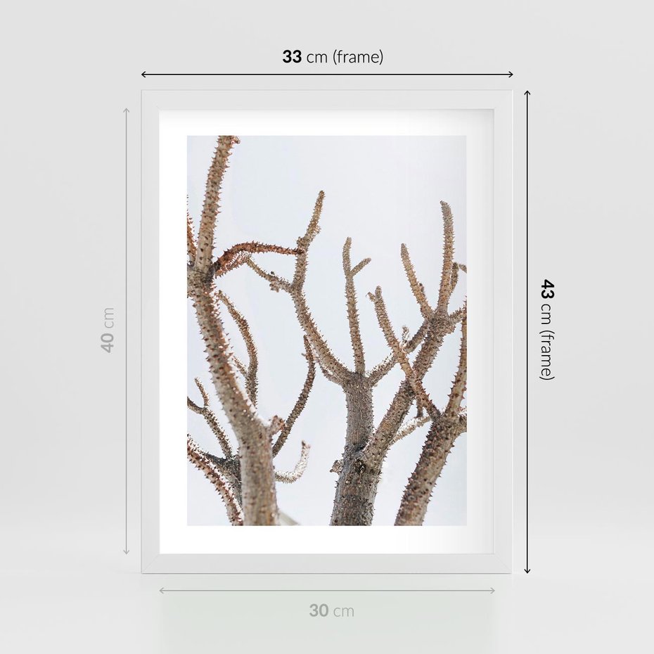 Plakat w ramie 30x40 - Pustynna Harmonia Gałęzi - pustynna roślina, suche gałęzie - rama biała