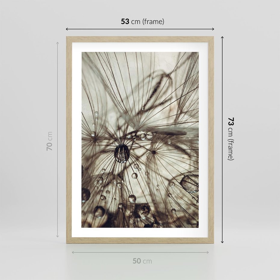 Plakat w ramie 50x70 - Lekkie dmuchawce - dmuchawce, krople - rama drewno