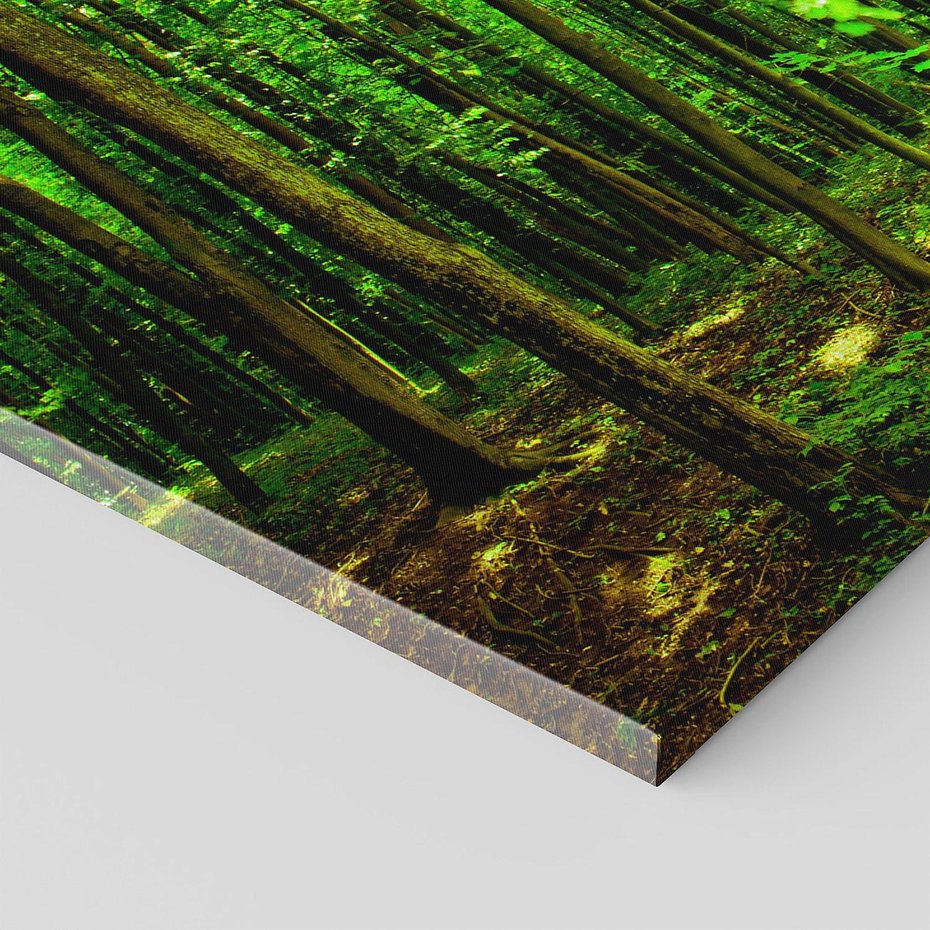 Obraz na płótnie 150x50 - Spacer po urokliwej dróżce w lesie - las, dróżka