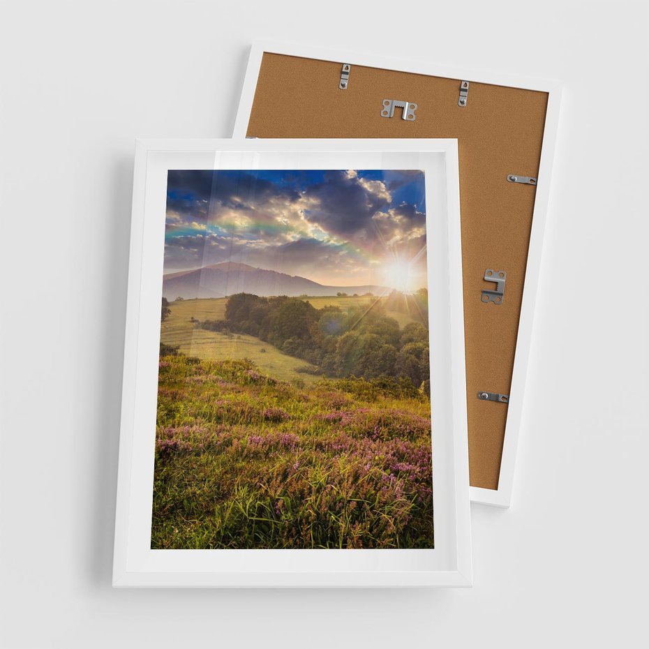 Plakat w ramie 50x70 - Pejzaż na łące - pejzaż, łąka - rama biała