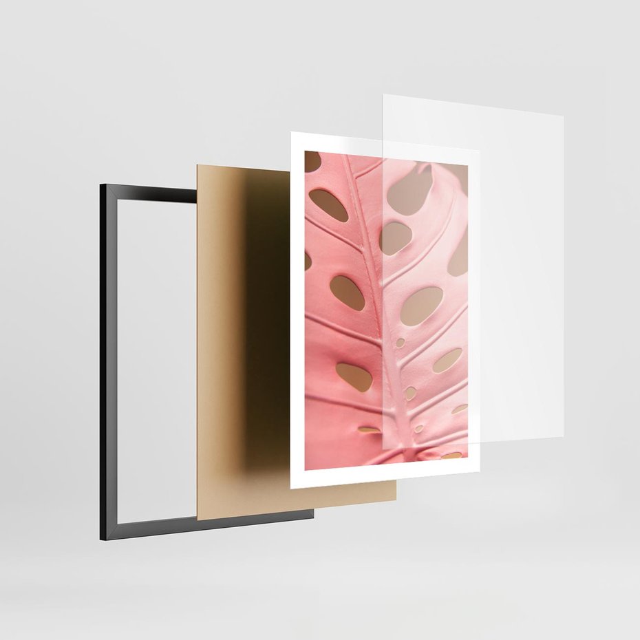 Plakat w ramie 50x70 - Różowa monstera w pełnym rozkwicie - różowa, monstera - rama czarna