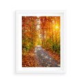 Plakat w ramie 40x50 - Kolorowe drzewa na ścieżce jesieni - las, jesień - rama biała