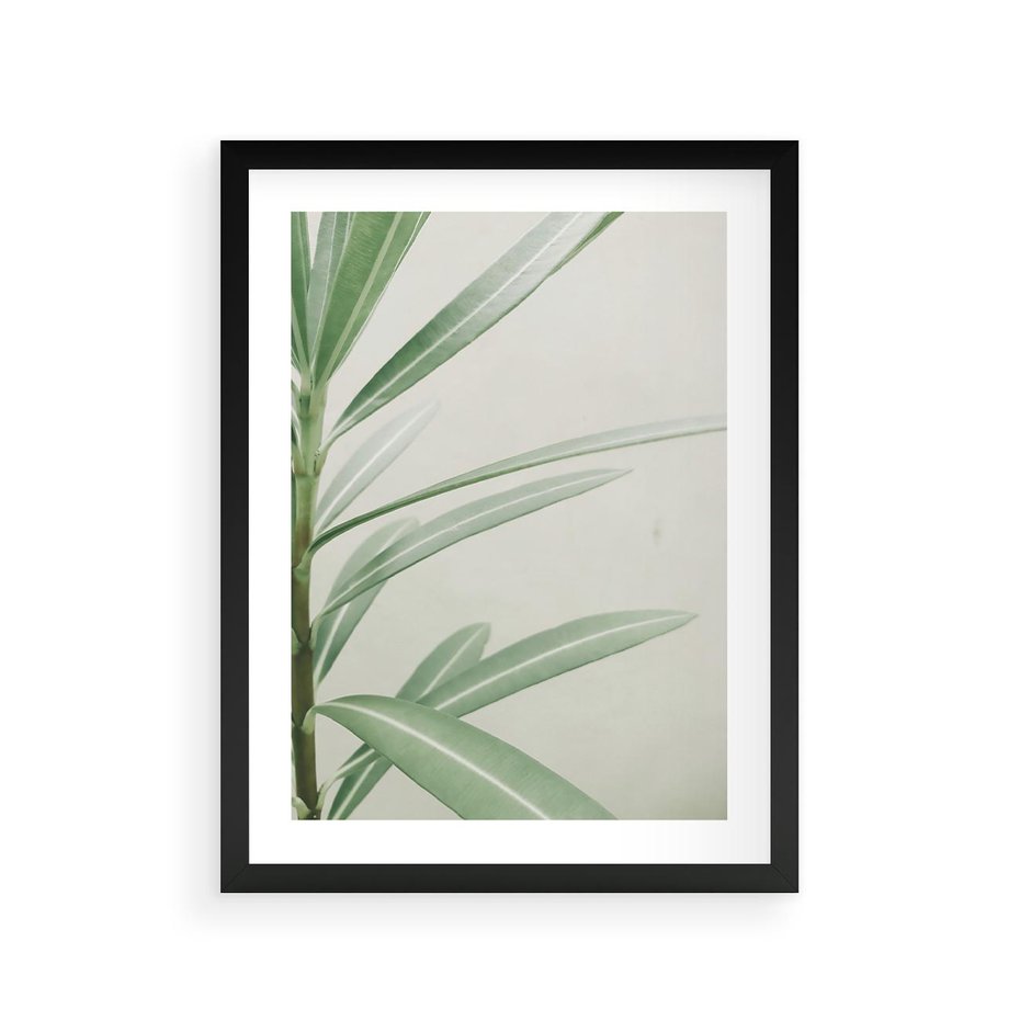 Plakat w ramie 30x40 - Minimalistyczna Tropikalna Harmonia - tropikalna roślina, zielone liście - rama czarna