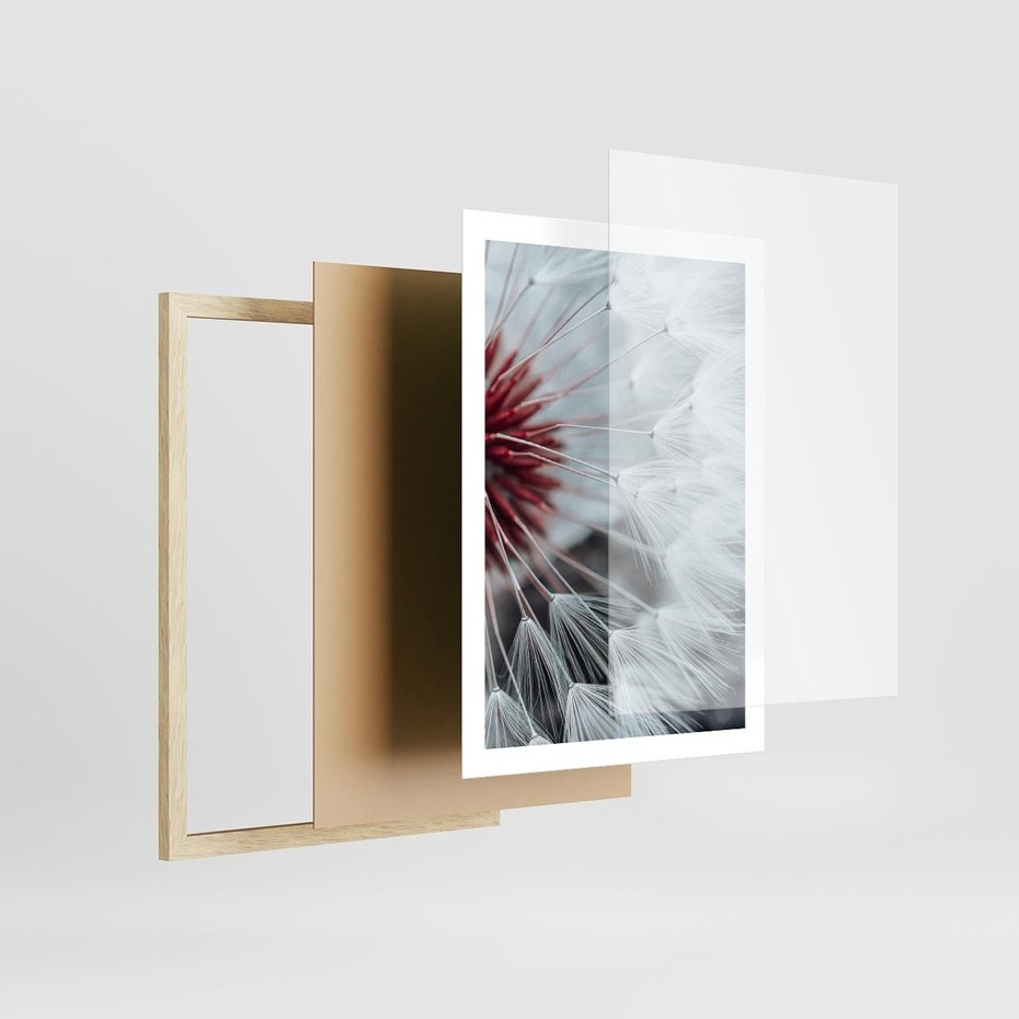Plakat w ramie 50x70 - Makro świat dmuchawca - dmuchawiec, makro - rama drewno