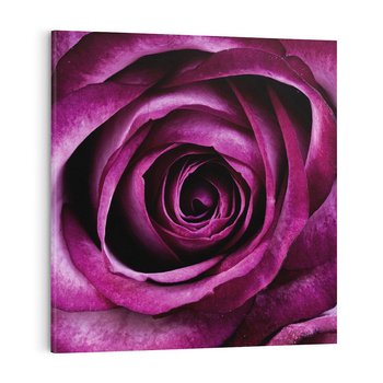 Obraz na płótnie 60x60 - piękno w delikatności - róża, kwiat