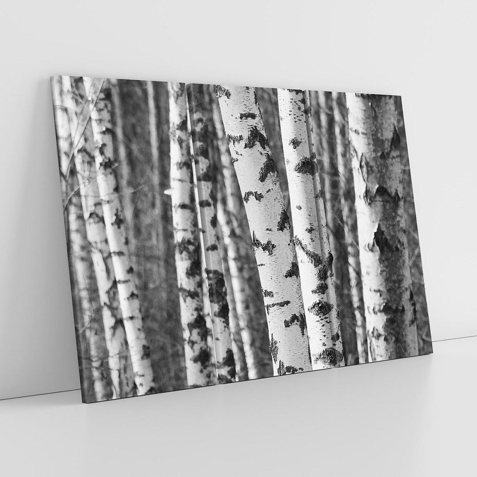 Obraz na płótnie 120x80 - Kontrast Monochromatyczny - brzozy, czarno