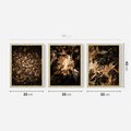 Zestaw obrazy w ramie 30x40 galeria - Suche, jesienne, liście, las - rama drewno