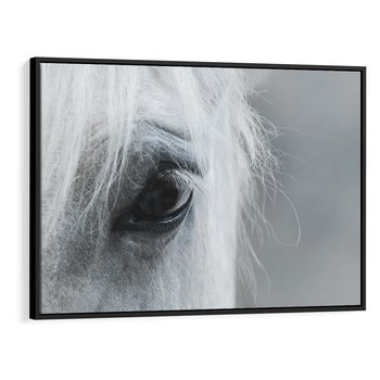 Obraz w ramie 70x50 - Oko Mocy - czarno białe zdjęcie, zbliżenie makro na oko konia - rama czarna