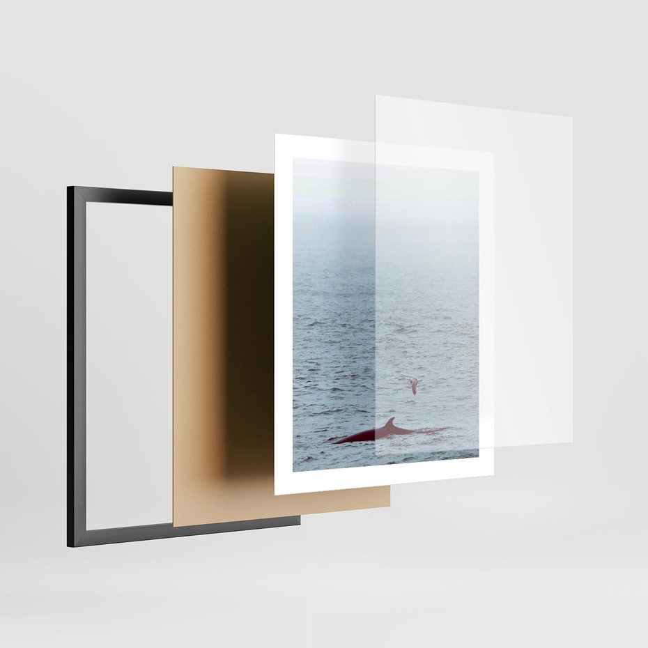 Plakat w ramie 40x50 - Spotkanie z Orką - morze, ocean - rama czarna