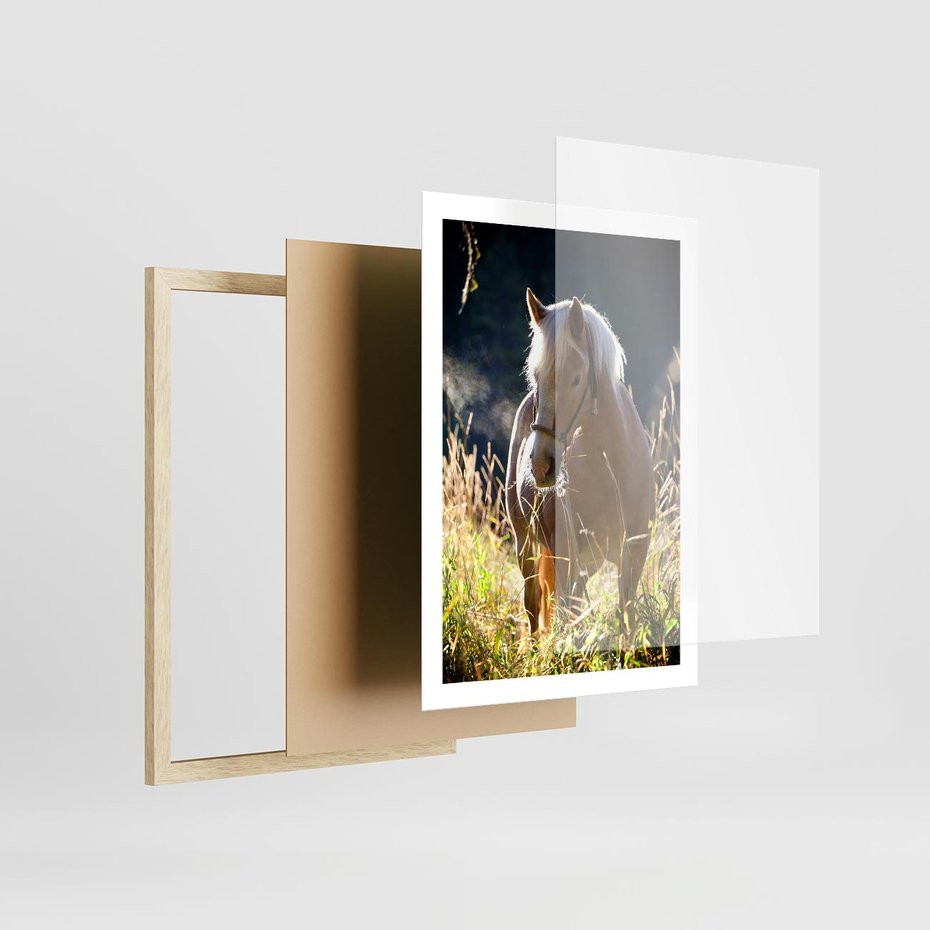 Plakat w ramie 50x70 - Spotkanie konia na łące - koń, łąka - rama drewno