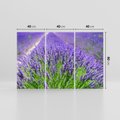 Obraz na płótnie 120x80 - Lawendowe pola piękno natury - lawenda, kwiaty