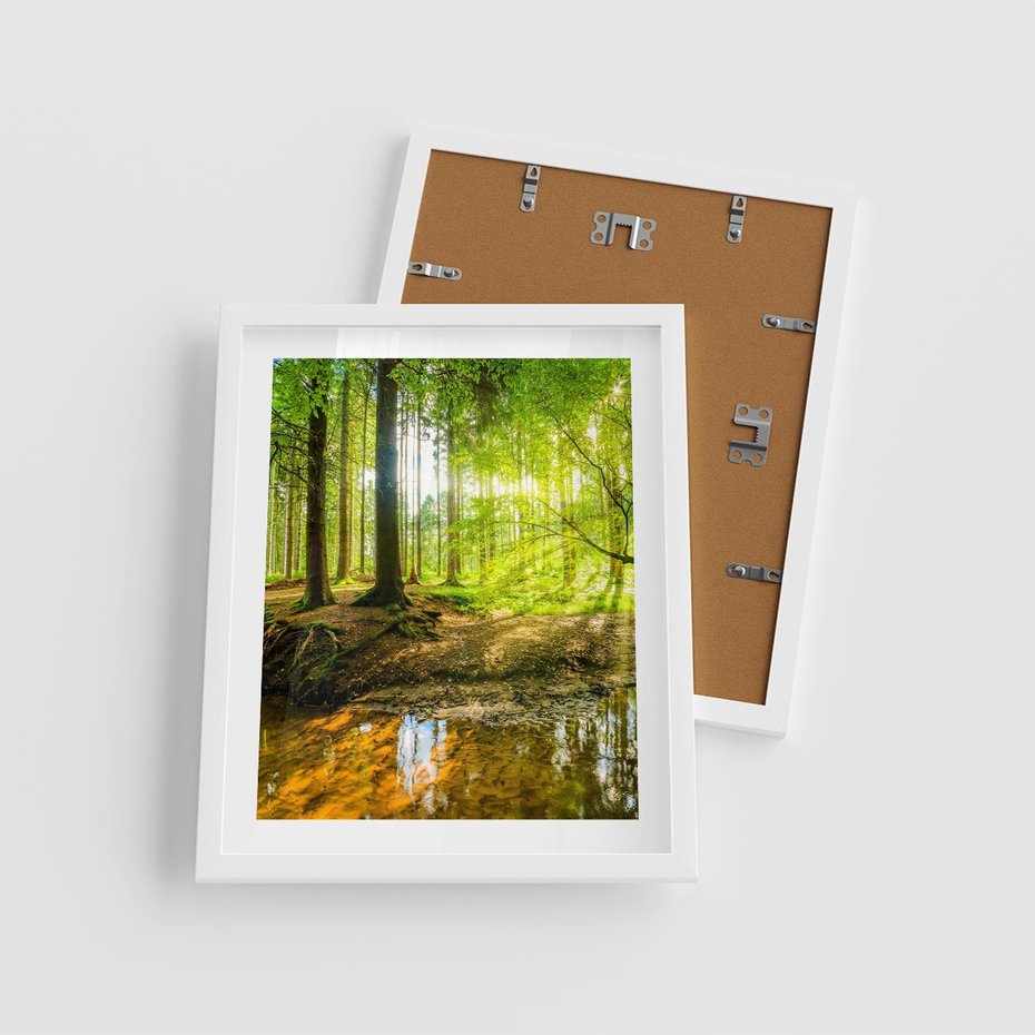 Plakat w ramie 40x50 - Las nad Wodą - las, woda - rama biała