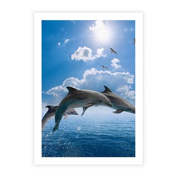 Plakat bez ramy 30x40 - Spotkanie z naturą - morze, delfiny