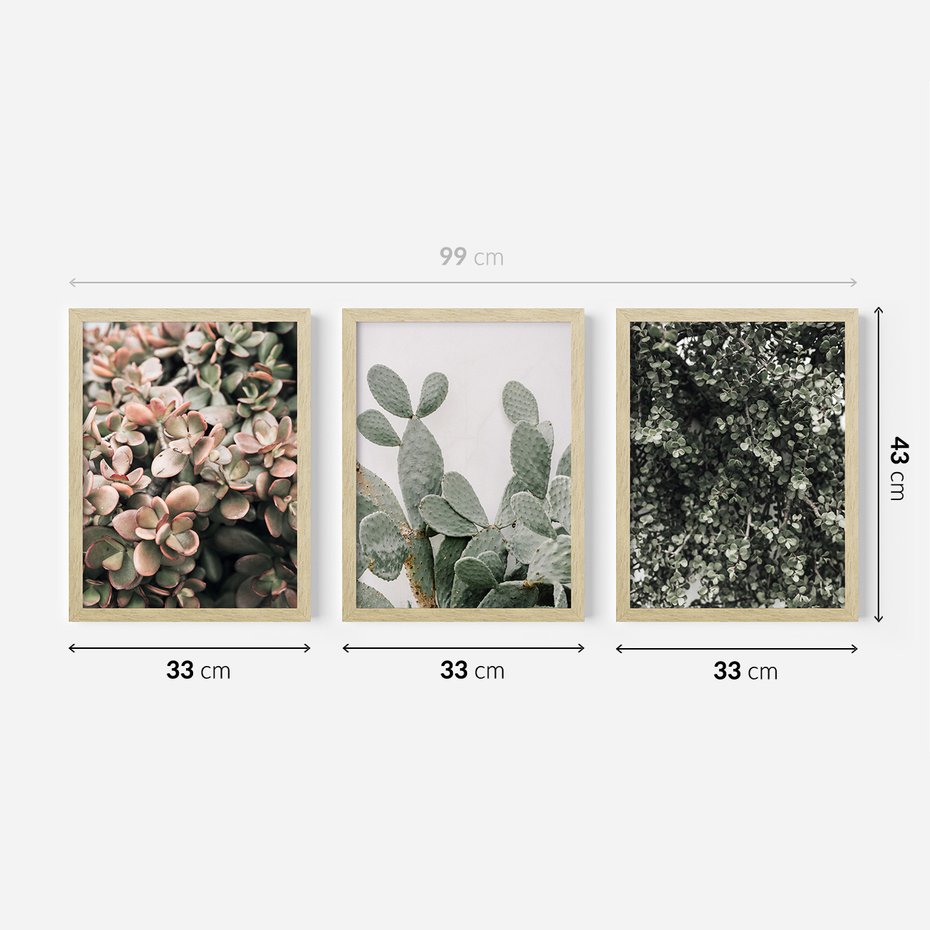 Zestaw obrazy w ramie 30x40 galeria - Rośliny, liście, kaktusy - rama drewno