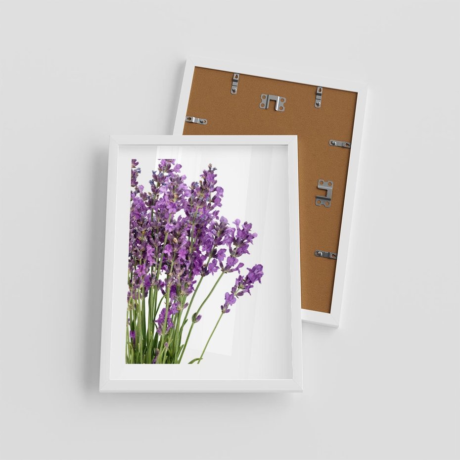 Plakat w ramie 30x40 - Pola lawendy w pełnym rozkwicie - lawenda, kwiaty - rama biała
