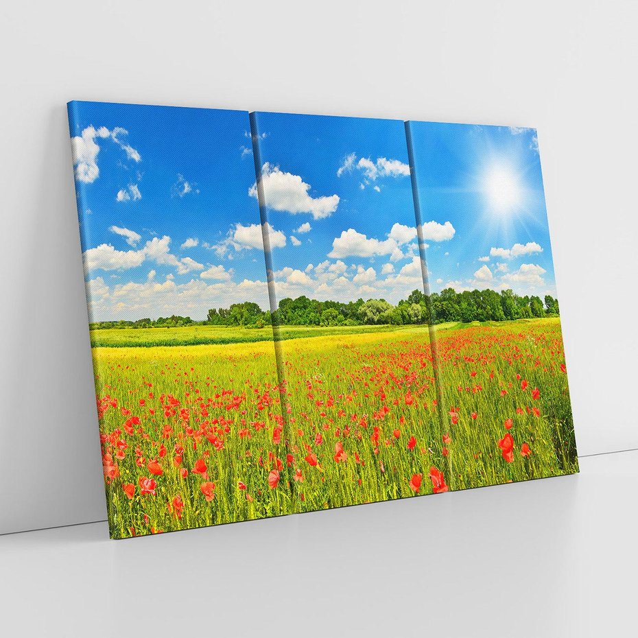Obraz na płótnie 120x80 - Malownicze maki na łące - maki, łąka