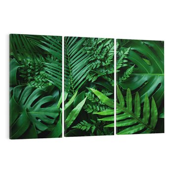 Obraz na płótnie 120x80 - Monstera Liście Fantazja - monstera, liście