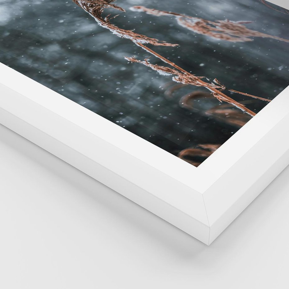 Plakat w ramie 40x50 - Zima na Łonie Natury - sucha wysoka trawa, w zimie - rama biała