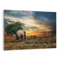 Obraz na płótnie 100x70 - Potęga słonia na afrykańskiej sawannie - słoń, sawanna