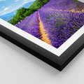 Plakat w ramie 30x40 - Prowansalska Lawenda - lawenda, prowansja - rama czarna