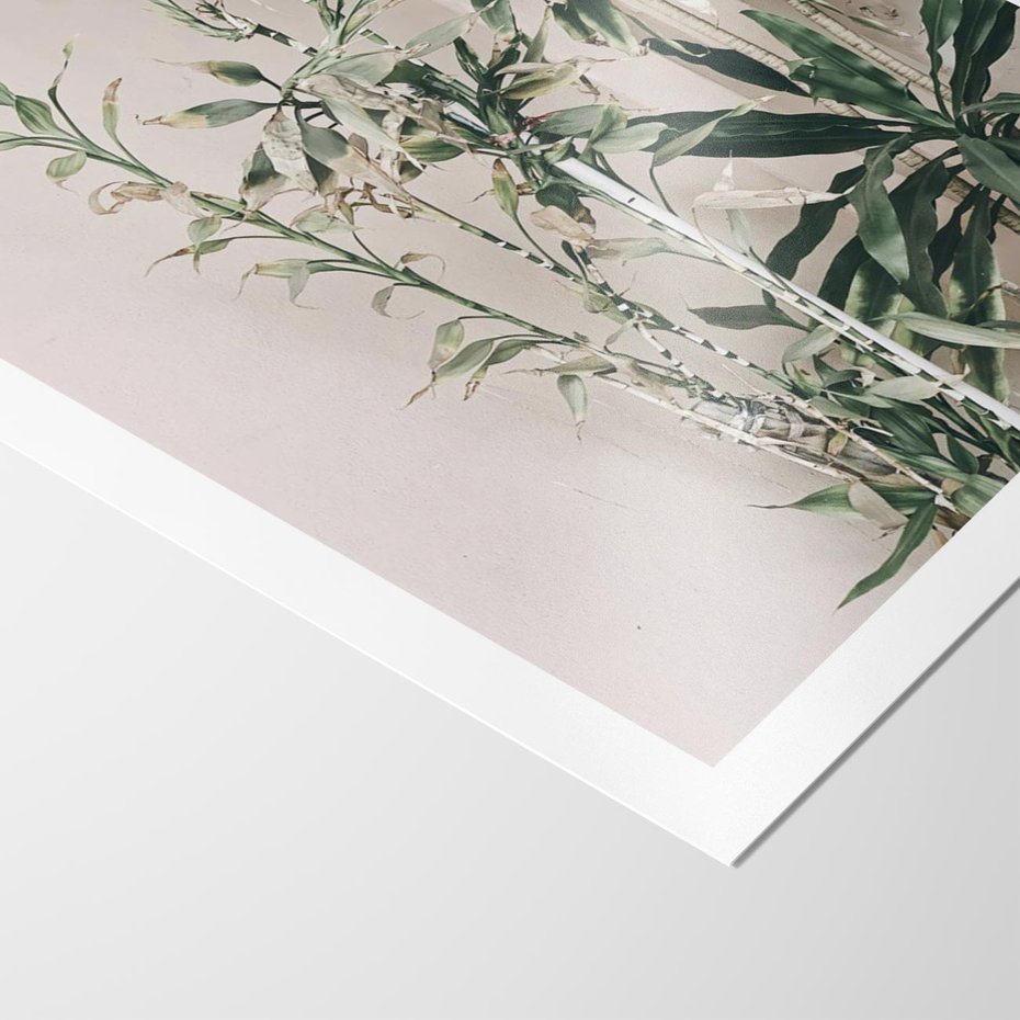 Plakat bez ramy 21x30 - Egzotyczna Kompozycja - liście, rośliny tropikalne na tle ściany