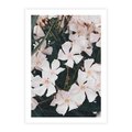 Plakat bez ramy 50x70 - Egzotyczna Uroda - białe kwiaty, tropikalne kwiaty