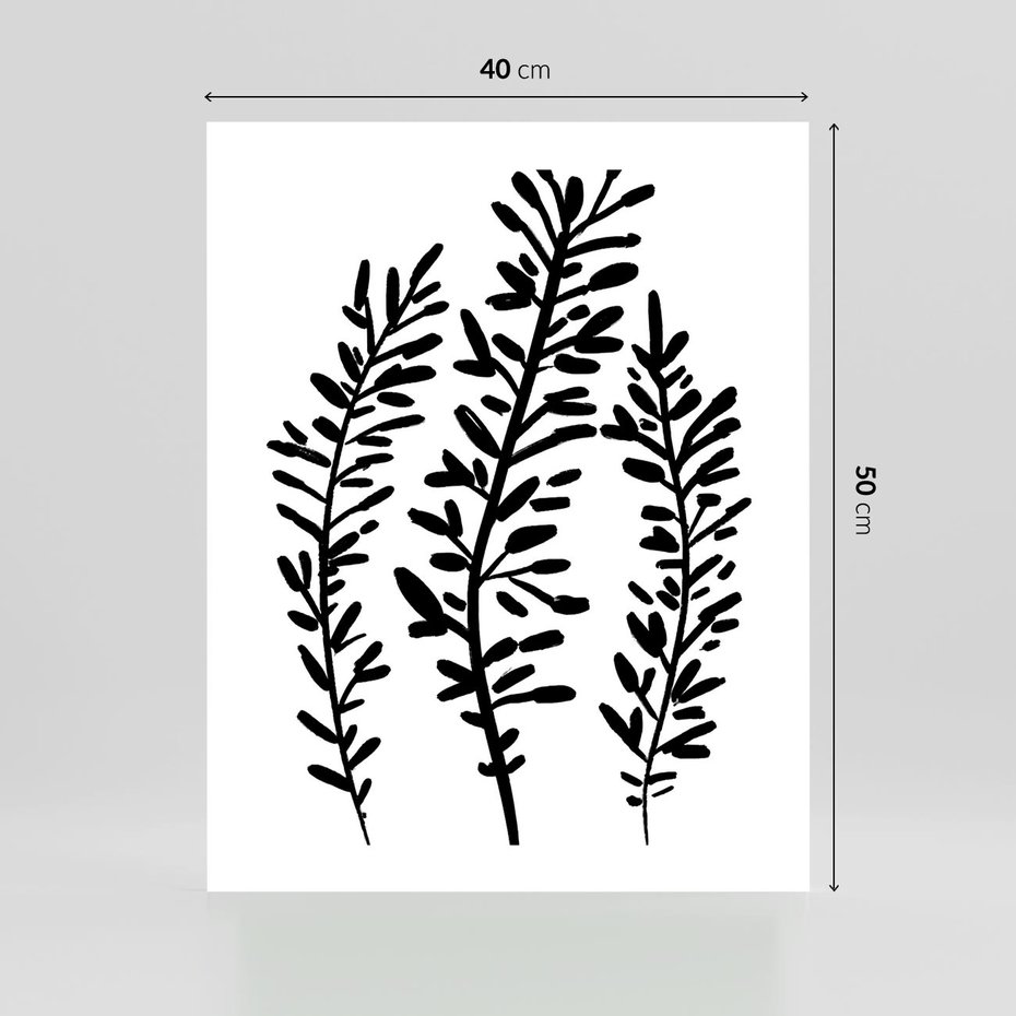 Plakat bez ramy 40x50 - Spokojne Wiatrem Uginane - szkic, czarno biały