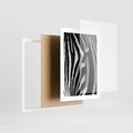Plakat w ramie 30x40 - Pasy Zebr - zebra, paski - rama biała