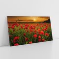 Obraz na płótnie 140x70 - Maki na łące: Przebudzenie wiosny - mak, maki