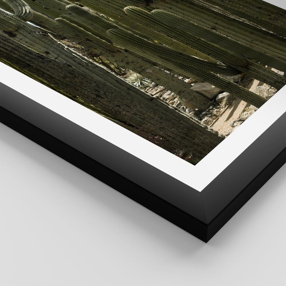 Plakat w ramie 40x50 - Wyjątkowy Klimat Boho - kaktusy, pustynia - rama czarna