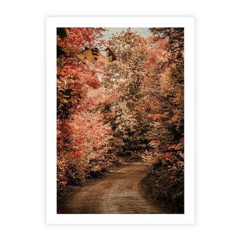 Plakat bez ramy 21x30 - Obraz przedstawia jesienne drzewa i czerwone liście na ścieżce w lesie. Ta sceneria doskonale oddaje urok i kolorystykę jesieni w lesie. - las, jesień