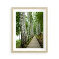 Plakat w ramie 40x50 - Spacer ścieżką przez brzozowy las - las, ścieżka - rama drewno