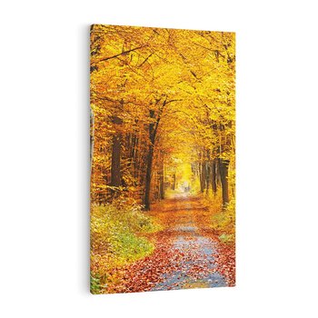 Obraz na płótnie 80x120 - Jesień w lesie - las, drzewa