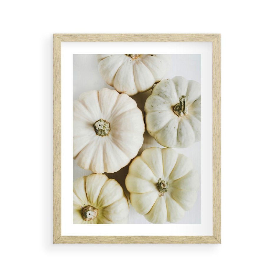 Plakat w ramie 40x50 - Jesienne Dynie: Delikatna Kompozycja - białe dynie, jasna kompozycja - rama drewno