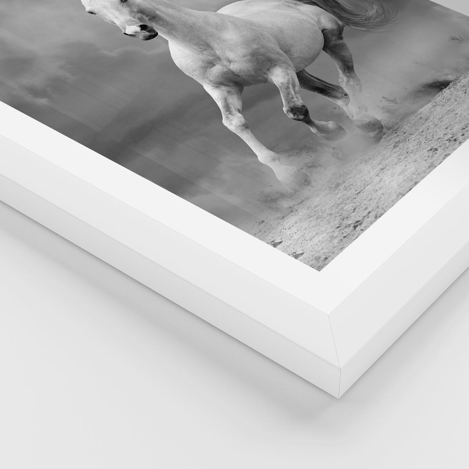 Plakat w ramie 30x40 - Elegancja w Czarno-Białym - koń, biało - rama biała